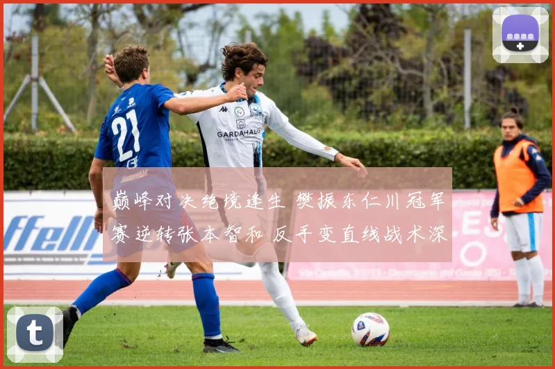 巅峰对决绝境逢生 樊振东仁川冠军赛逆转张本智和 反手变直线战术深度解码